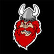 viking